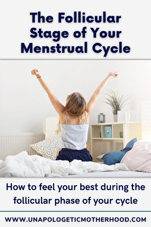 Stages Of the Menstrual Cycle - Follicular Phase - Unapologetic Motherhood