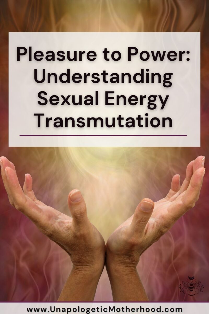 Pleasure To Power Understanding Sexual Energy Transmutation Unapologetic Motherhood